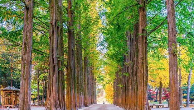 Explorando a ilha Nami por conta própria
