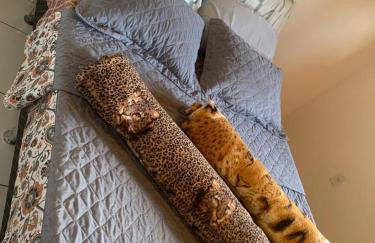 Casa Amarela - Foto 8