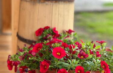 Domek Na Młace - Foto 15