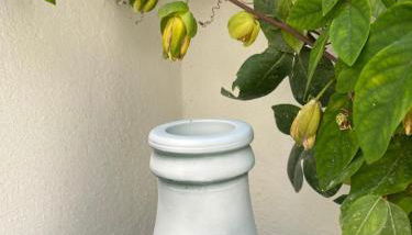 Villino Monte Sant'Angelo - Foto 4, Garden