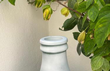 Villino Monte Sant'Angelo - Foto 4