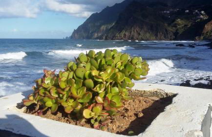 Villa SCIROCCO Madeira - Ocean View - Foto 59