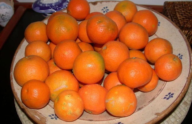 Casavacanze BioMele - Foto 22