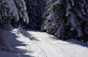 Holiday Home Kuća Ulaga - Foto 54