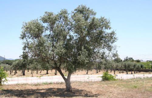 Casa da Pedra-Quinta do Briando - Foto 22