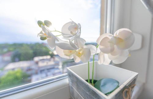 Apartman Nora - Foto 34