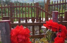 Domus Antiqua - Foto 34