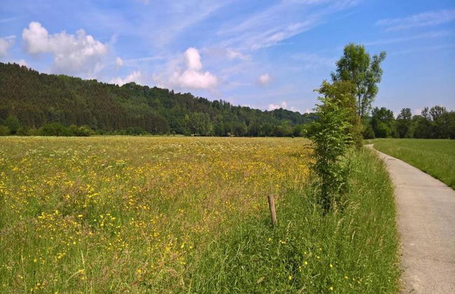 Renovated Chalet Near Durbuy - Photo 35