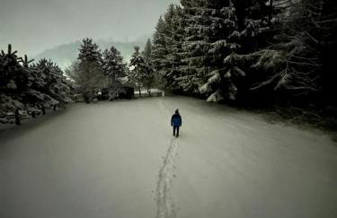 Noclegi Zielona Gęś - Foto 33