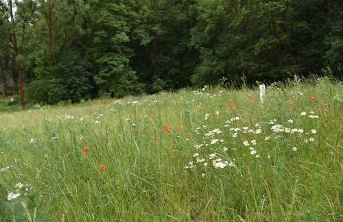 Ferienwohnung Abspanne - Foto 18