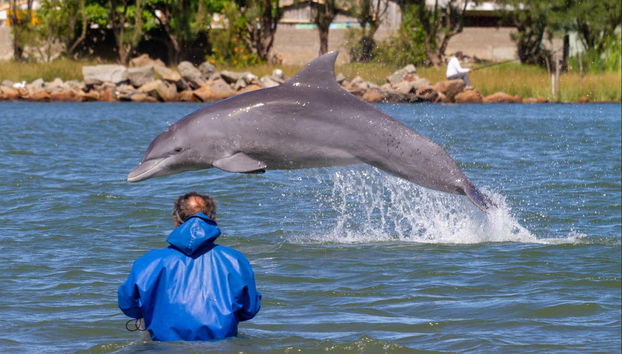 Santuário dos Botos Pescadores in Laguna