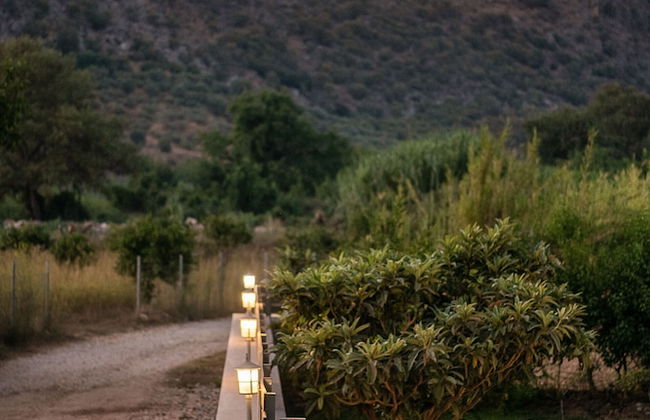 Villa Nature Kalives Chania - Foto 24