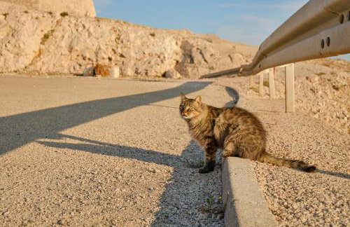 Toncica Sunny terrace with seaview and shaded BBQ area - Foto 46