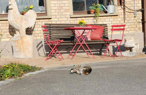 Ferienhof Spöcker - Foto 8