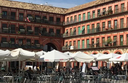 Apartamento Completo Regina - Foto 19