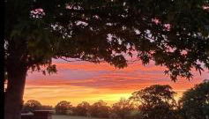 Begonia Cottage - Foto 3