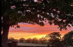 Begonia Cottage - Foto 3