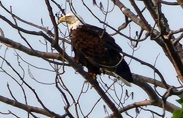 A-Frame Cabin on Lake Michigan - Foto 32