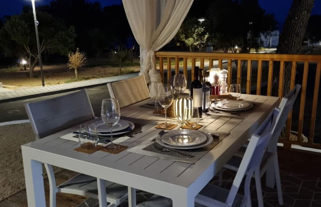 Blue Charm Mobile Home - Photo 9