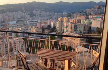 Donny Dude Panorama - Foto 24