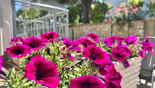 Conero Holiday Home - "Il Filare" - Foto 2