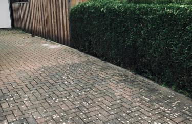 Sweet vacation - Foto 24