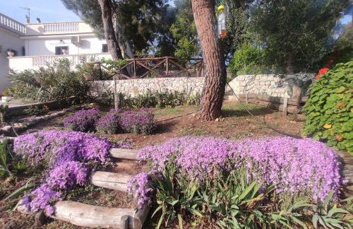 Lunamora 4 - Foto 43