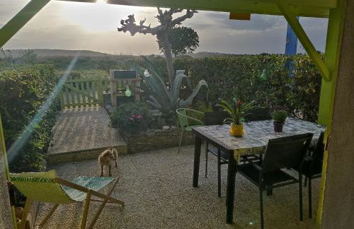 BAMBOU NATURE - Foto 5