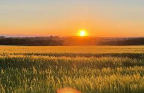 Natures Loft - Photo 13