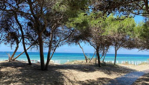 La Fenice sulla spiaggia - Foto 5