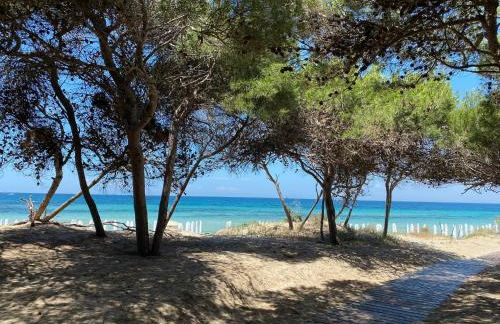 La Fenice sulla spiaggia - Foto 5