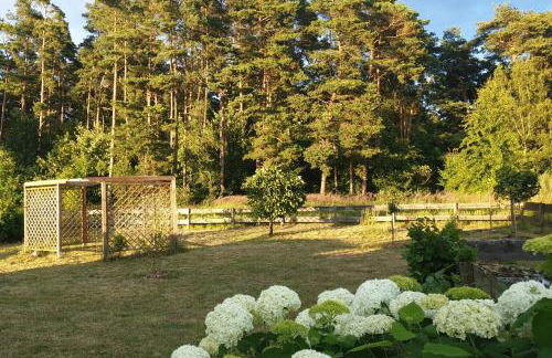 Ferienhaus am Wald App 1 - Foto 12