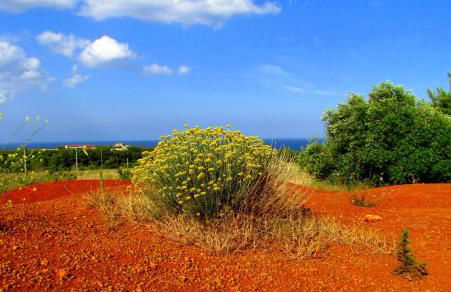 La Dimora di Ulisse - Foto 36