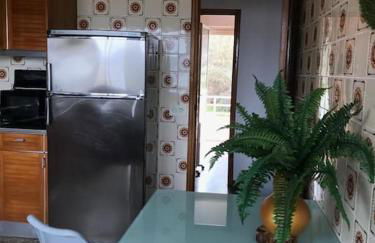 Primero Seixo antiguo - Foto 15