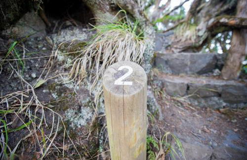 Suites Los Telares - Adults Recommended - Foto 66