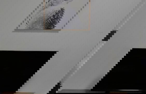 Dandaloo Gardens - Foto 13