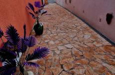 Ruhe und Entspannung für die ganze Familie - Foto 10