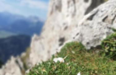 Ferienwohnung Brunnäcker - Foto 29