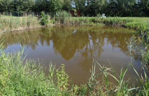 Agroturystyka Pod Podkową - Photo 63