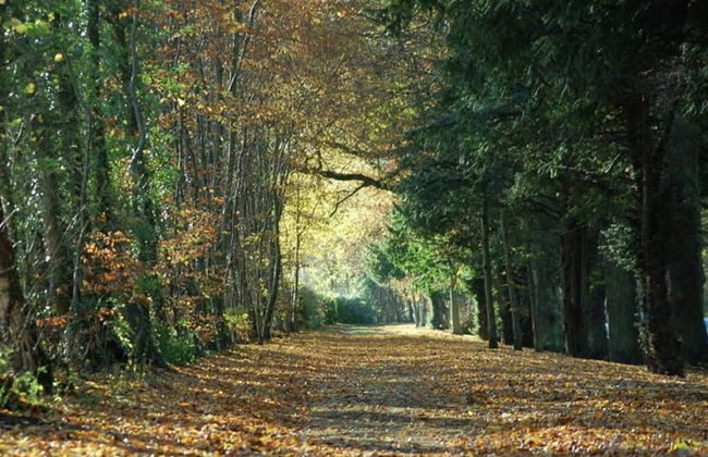 Cottage in Jedburgh Near Historic Abbey - Foto 13