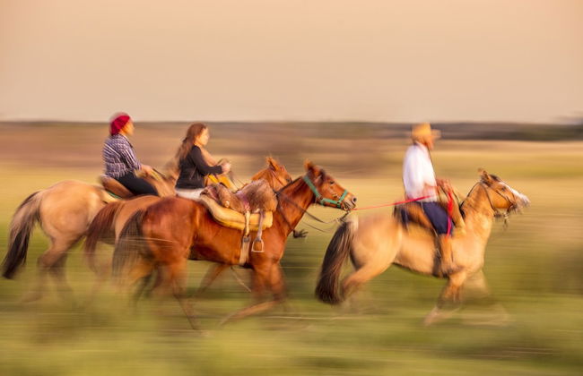 Estancia San Agustín - Foto 12