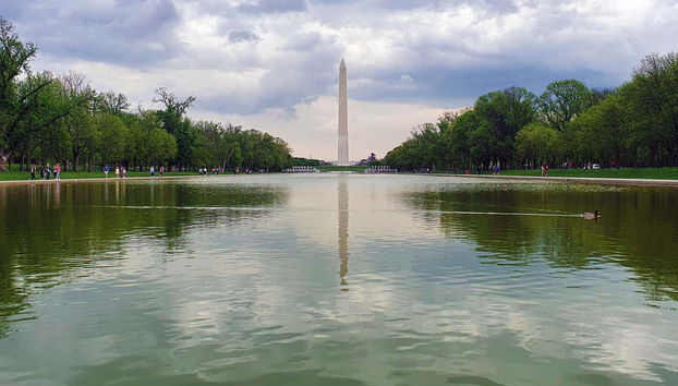 Washington DC Free Tour - Foto 5