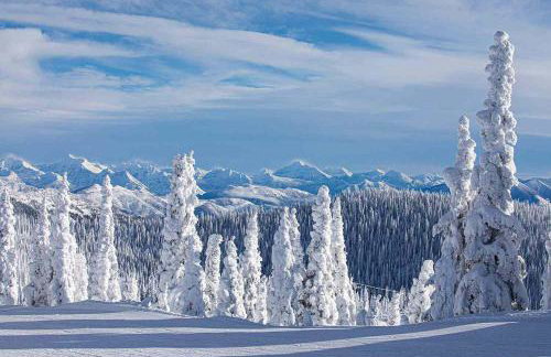 Built 2016 Pristine Lake House for Boating, Remote Work, Hiking and Relaxing - Foto 43