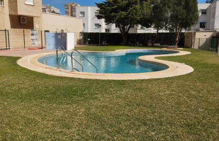 El buen sol de la manga - Foto 5