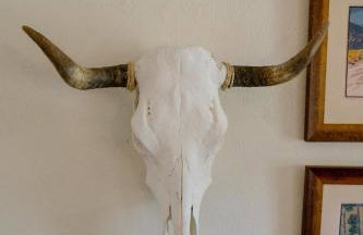 Tesuque Outpost Casita F Best views in Santa Fe - Foto 4