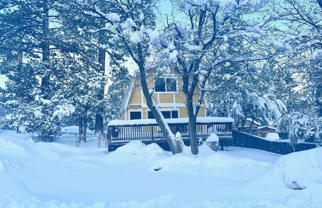 The Love Shack - Foto 23