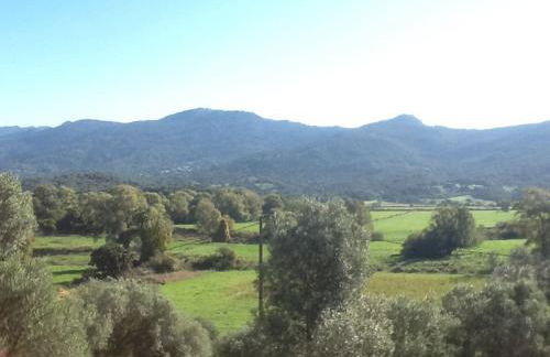 LE PALADIN Porto Pollo Villa privée avec piscine chauffée - Foto 23