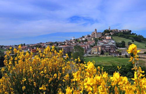 Mare Adriatico-Il Passetto - Foto 35