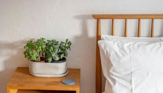 Back Lane Cottage Cornwall - Photo 5