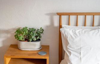 Back Lane Cottage Cornwall - Foto 5